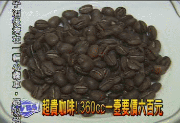超貴咖啡! 360CC一壼要價6百元