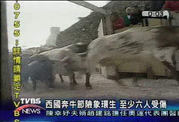 西國奔牛節險象環生 至少6人受傷