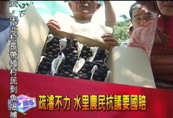 災區農民帶葡萄　北上監察院陳情
