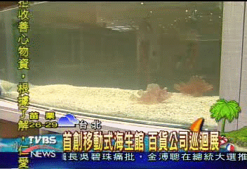 首創移動式海生館　百貨公司巡迴展