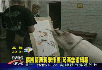 俄國豬烏鴉學作畫 充滿藝術細胞