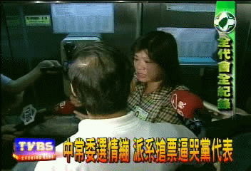 中常委選情繃 派系搶票逼哭黨代表