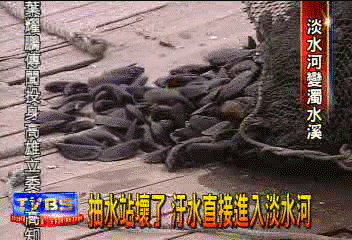 4百萬噸廢水　水變臭　大腸桿菌多