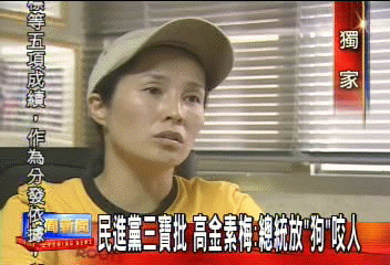〈獨家〉 DPP三寶批 高金素梅:總統放「狗」咬人