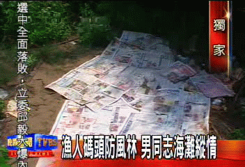 〈獨家〉漁人碼頭防風林 男同志海灘縱情