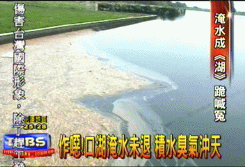 作噁！　口湖淹水未退　積水臭氣沖天