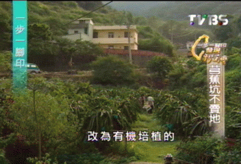 【一步一腳印】芎蕉坑不賣地　創造生態平衡奇蹟