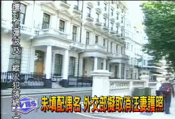 未填配偶名　外交部擬取消汪妻護照
