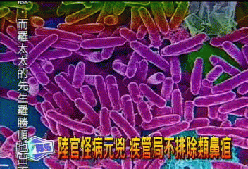 陸官怪病元兇 疾管局不排除類鼻疽