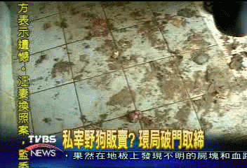 私宰野狗販賣? 環局破門取締