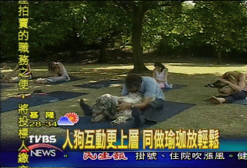 人狗互動更上層　同做瑜珈放輕鬆