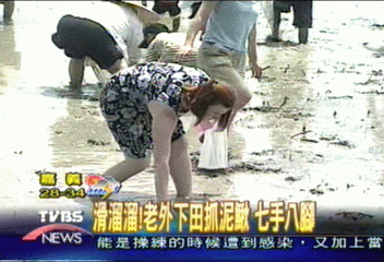 滑溜溜!老外下田抓泥鰍 七手八腳