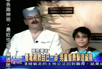 〈獨家〉看電視救自己一命　男童智勇擊退鯊魚