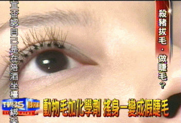 大陸黑心又一樁 豬兔狗毛充當假睫毛
