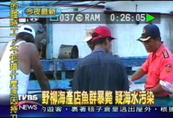 野柳海產店魚群暴斃 疑海水污染