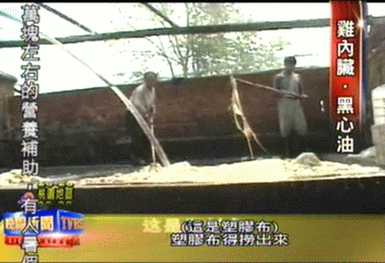 超噁　爛腸加雞屎煉成黑心食用油