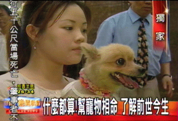 〈獨家〉什麼都算!幫寵物相命 了解前世今生