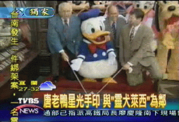〈獨家〉唐老鴨70歲 星光大道留手印
