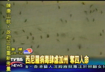 西尼羅病毒肆虐加州 奪4人命
