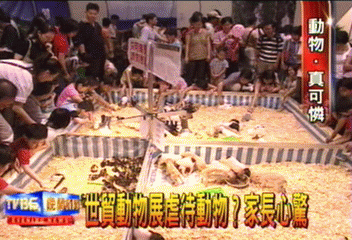 世貿動物展虐待動物? 家長心驚