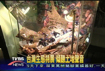 台灣生態特展　傾聽土地聲音
