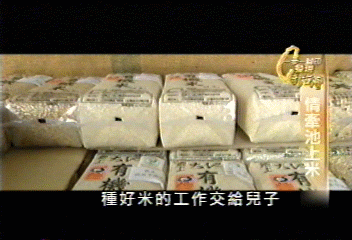 【一步一腳印】情牽池上米　台灣農業的提升