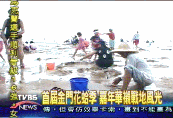 首屆金門花蛤季 嘉年華襯戰地風光