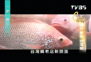 【一步一腳印】 邱仔的夢想 台灣鯛放光