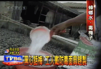 黑心話梅！工人戴防毒面具趕製