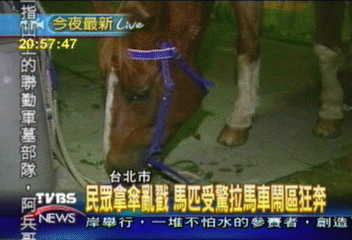 誰刺我跑給你看! 馬兒狂奔西門町