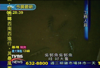 誰來抓吳郭魚? 工務人員苦中作樂