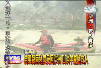 怒浪滔天 豬農困沙洲 驚險搶救