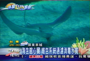 【這夏FUN輕鬆】海生館心臟　維生系統過濾消毒水質