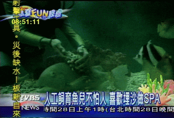 【這夏FUN輕鬆】珊瑚海底隧道美景 TVBS潛水攝影全紀錄
