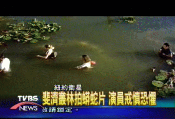蛇吃人再上銀幕 求偶蟒蛇成群出動