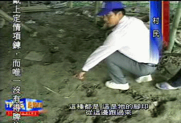 熊出沒？　農民心驚　棍棒隨身大搜尋