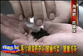 長沙婦減肥奇招　蠶蛹作菜.蠶糞泡茶