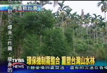 【再造新台灣】杜絕土石流 和興村完成森林再造