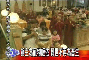飼主為寵物皈依　轉世不再為畜生