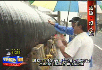 大水管跨活魚街 商家嘆:做不下去
