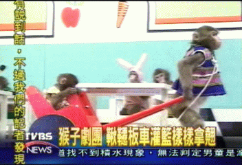 猴子劇團　鞦韆板車灌籃樣樣拿翹