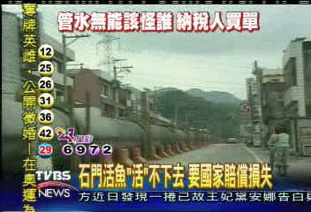 誰來吃活魚? 黑巨龍阻街業績掉八成