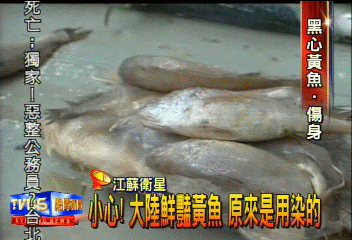 小心!大陸鮮豔黃魚 原來是用染的