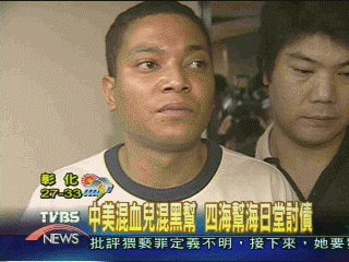 中美混血兒混黑幫　四海幫海日堂討債