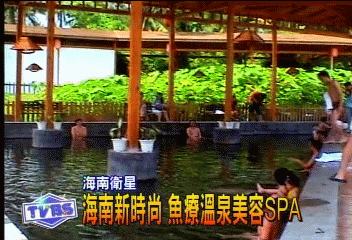 海南新時尚　魚療溫泉美容SPA