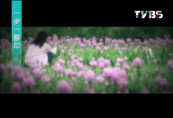 【一步一腳印】神農獎得主　種希望的人
