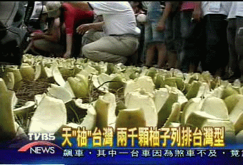 天「柚」台灣　兩千顆柚子列排台灣型