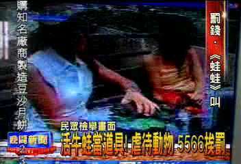 活牛蛙當道具!虐待動物 5566挨罰