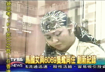 毒蠍女王　與6069隻蠍同住36天