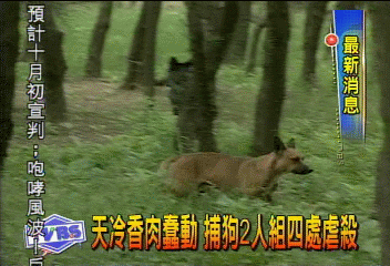 天冷香肉蠢動 捕狗二人組四處虐殺